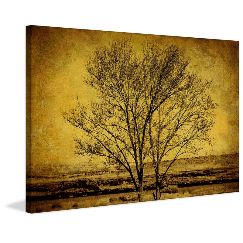 Entwined Tree - Wrapped Canvas Print, 61cm H x 91cm W x 3.81cm D