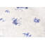 Cristal Queen duvet cover-1258731543-1258731546-1258731545