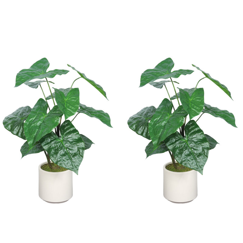 Skylar plante artificielle à feuilles d'alocasie tropicales 30 po avec pot blanc, Alocasia