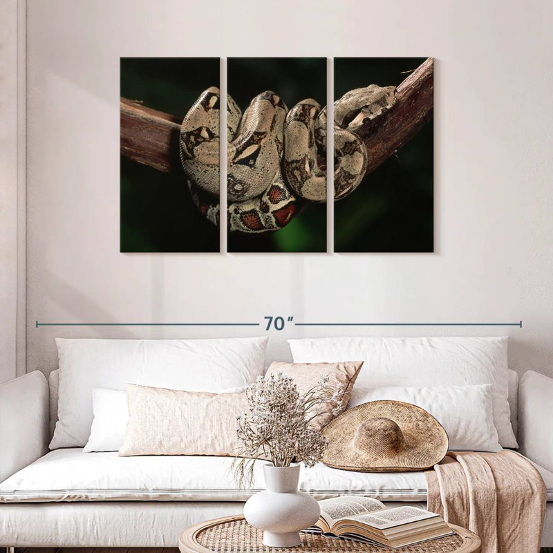 Boa Constrictor, 24" H x 38" W
