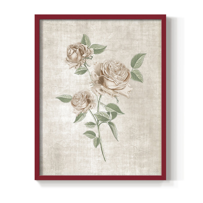 Blush Rose Botanical I, reproduction encadrée - bois massif, H 30 po x l 24 po, Rouge