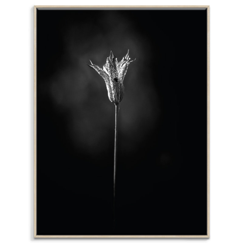 Print on Canvas, Timber, 51cm H x 41cm W