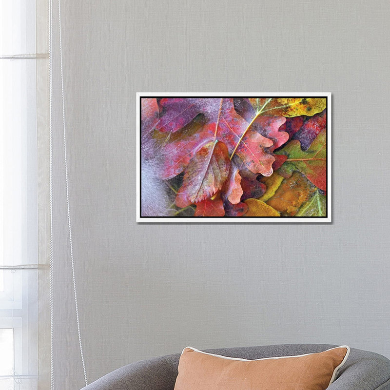 Frozen Autumn Leaves, North America 1 Piece Wall Art on Canvas, 66.04 cm H x 45.72 cm W, White Framed