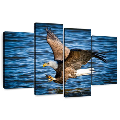 Bald Eagle Fishing