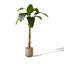 Bananier artificiel vert clair