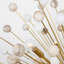 Lys 18 - Light Solid Brass Chandelier by Suzanne Kasler