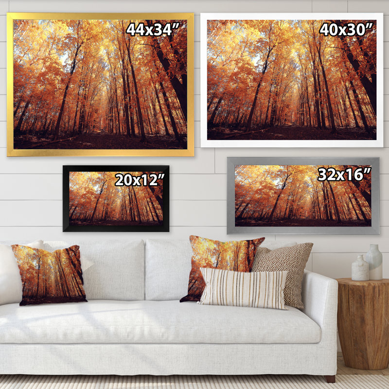 Mystic Yellow Fall Forest III - Art mural sur toile traditionnel, Cadre photo noir, L 12 po x H 8 po