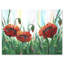 Fleurs de coquelicot rouge vif sur un pré vert - peinture sur toile-59843286-59843290
