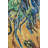 Tree Roots And Trunks Tapestry Wall Art