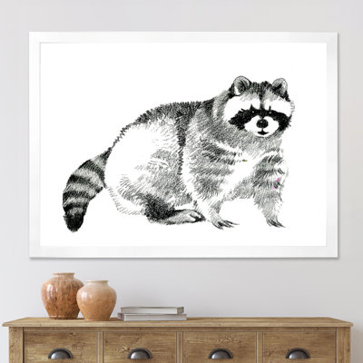 " Monochrome Portrait Of Raccoon "