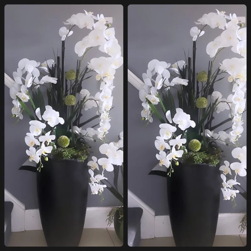 Orchid Arrangement in Planter