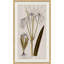17th Century Wild Flower Studies I Painting