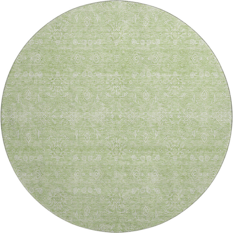Premium Machine Washable Prisco Aloe Rug