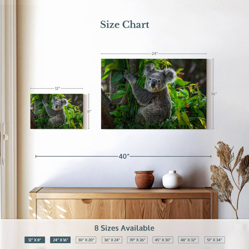 Cute Koala, 16" H x 24" W