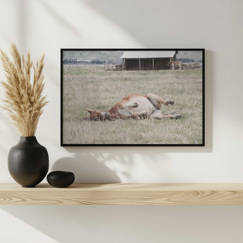 «After Dinner Nap» par Lori Deiter, reproduction d'art, 30 W x 20 H, Noir, Framed Print