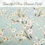 Ensemble de courtepointe réversible en coton standard cyan / bleu / vert 3 pièces-1539642160