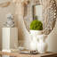 Moss Vase Filler-1474463025
