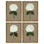 Pressed Hydrangea Set by Sandy Whitaker-721149593-721149592
