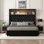 Structure de lit double capitonnée en velours avec port USB et veilleuse, tête de lit à oreilles 52 po, noir-1319565606-1319692254