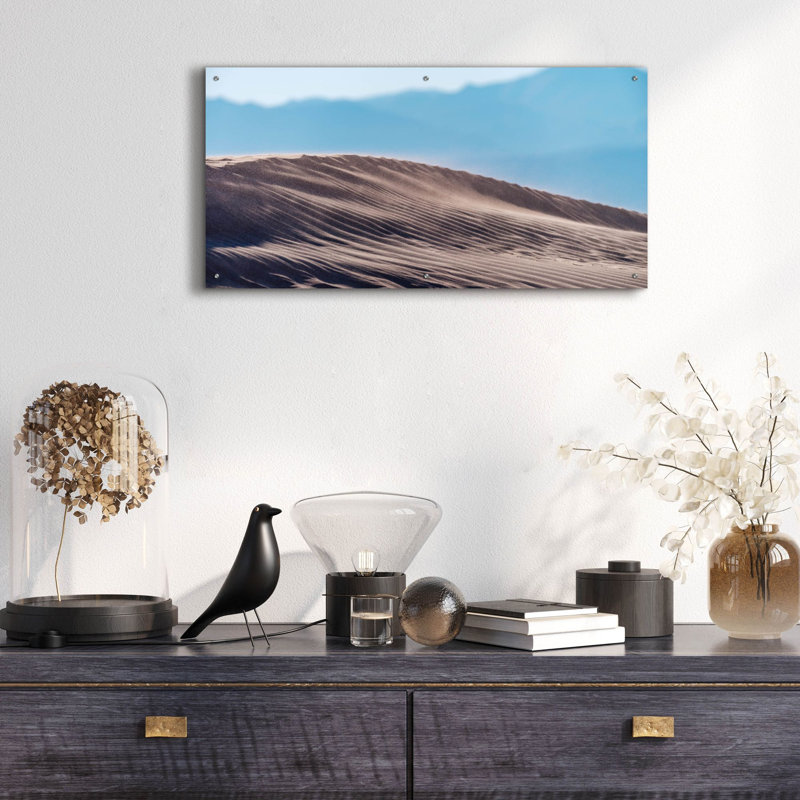 «Sand Dune Spine» par Epic Portfolio, art mural en verre acrylique, 48 po x 24 po, H 24 po x l 48 po
