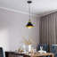 Ammeera 1 - Light Black Pendant-876283878