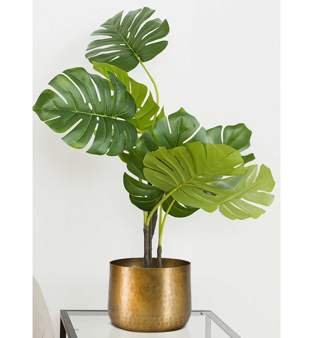 Rabindra Metal Pot Planter (Set of 6) Mercer41