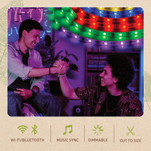 RGBIC Smart LED Strip Light Kit