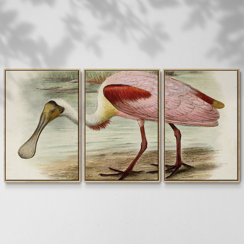 Roseat Spoonbills II 3 pièces, Naturel, H 36 po x l 75 po x P 2 po