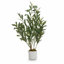 Faux olivier en pot-133254260-133254267-133254244