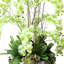 Orchid Arrangement with Cactus in Fiberstone Planter-292671248