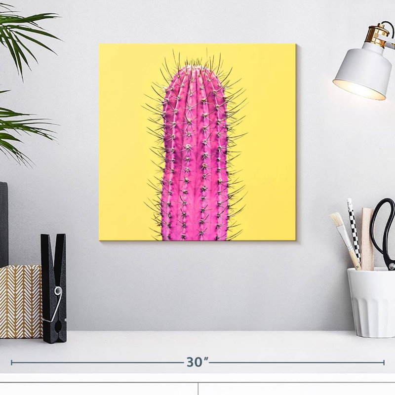 Cactus rose épineux Harnek, H 16 po x l 16 po