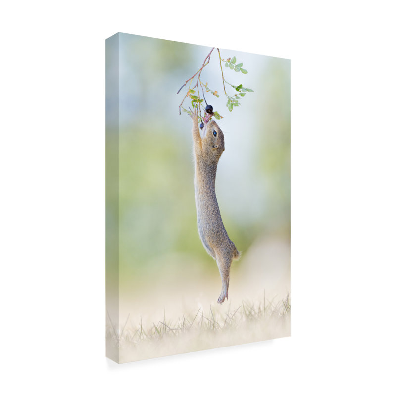 Henrik Spranz  Stretch Jump Canvas Art, 12" H x 19" W