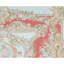 Hand-Knotted High-Quality Beige Area Rug
