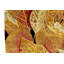 Wool Floral Area Rug