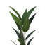160cm Faux Paradise Plant in Planter