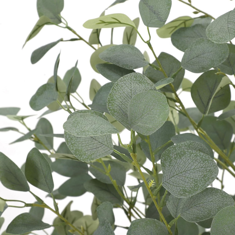 Plant, 152.4cm x 78.74cm