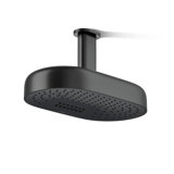 Statement™ Oblong 14" Two-Function 2.5 Gpm With Katalyst Air-Induction Technology