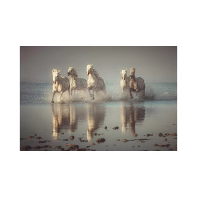 Camargue Horses par Rostovskiy Anton - reproduction de photo sur toile tendue