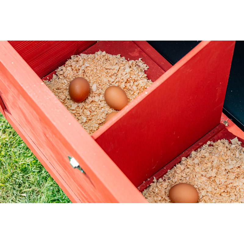 Barn Chicken Coop with Wheels