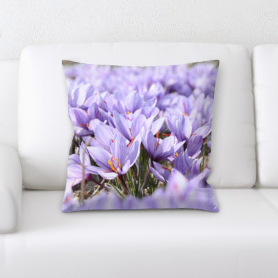 Coussin décoratif