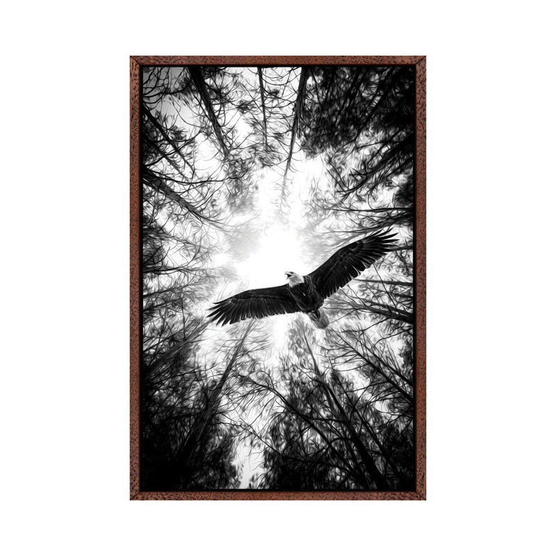 Master Of Heaven Bold Eagle B&W by Nik Rave - Print on Canvas, 66.04cm H x 45.72cm W x 3.81cm D, Classic Brown Wood Framed