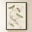 Mariposas I par V. Larkspar - Impression sur toile-502667588-502667590