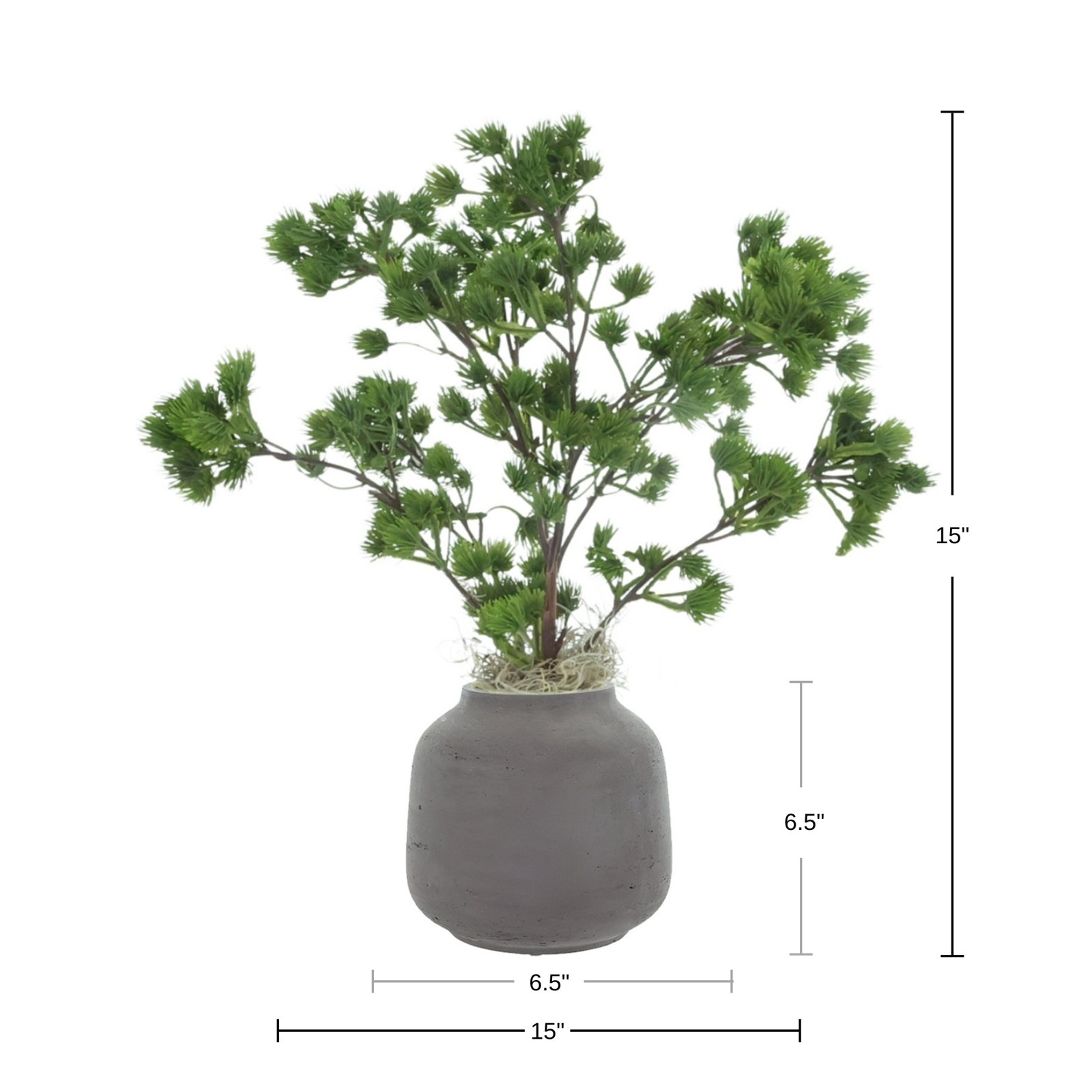 Ming Pine in Fiberstone Vase, Black