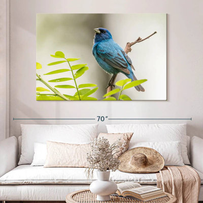 Brampt Indigo Bunting Bird