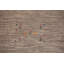 Tapis rayé tribal Gabbeh 8 x 8