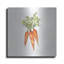 «Veggie Market V Carrots» par Anne Tavoletti-24432209