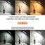 Adalinn Desk Lamp-725604822