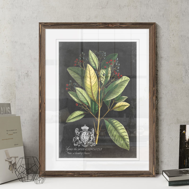 Reproduction d’art sur toile encadrée « royal feuillage iv » par paul cezanne, H 28 po x l 38 po x 1,25 po