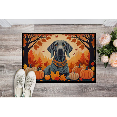Chauncy Non-Slip Doormat