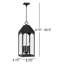 Lanterne suspendue d'extérieur en noir avec verre transparent Ezra l 10 po x H 26,5 po
